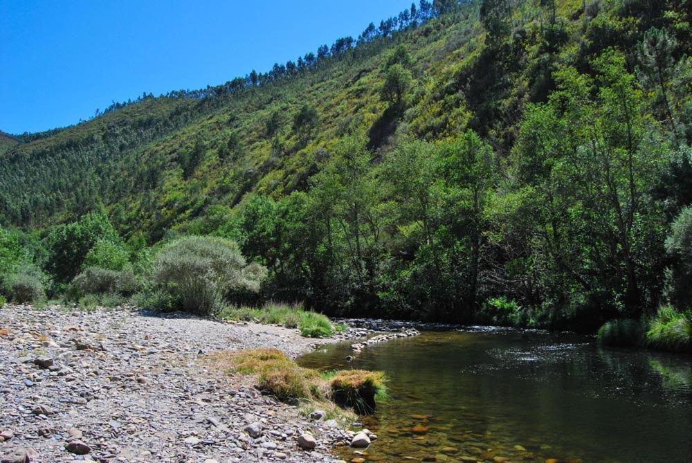 O Pardieiro - Aldeia Da Paradinha Com Praia Fluvial מראה חיצוני תמונה